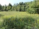 0000 Mtn Bluff Rd sold home in Hendersonville, SC