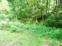 0000 Wamboldt Avenue sold home in Asheville, SC