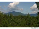9999 Lake Haven Drive 41 sold home in Lake Lure, SC
