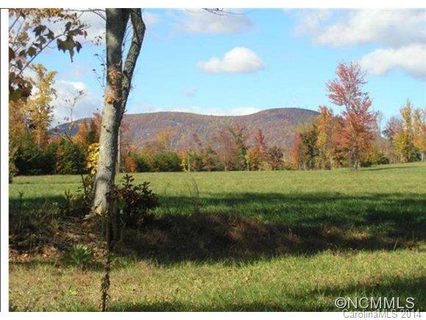 35 Stone Cottage Lane # 2 sold lot in Meadows of Campbell Creek, Landrum, SC