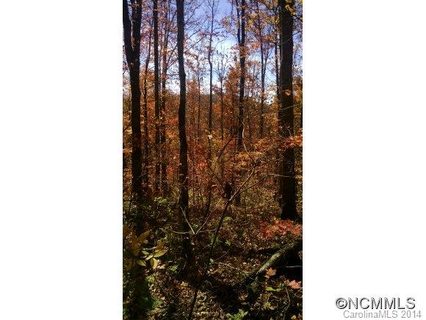 31 Fern Trail