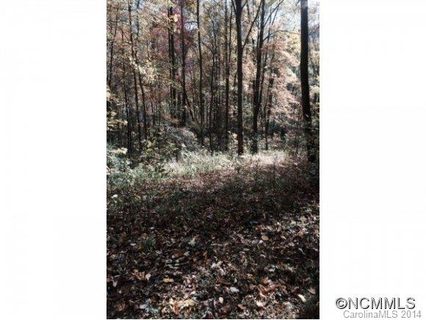 Lot 1 Fern Trail