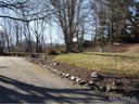 124 College Circle sold home in Swannanoa, SC