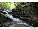 Lot 29b Oconee Bell Lane 29B sold home in Brevard, SC