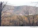 65 Timber Moss Drive sold home in Asheville, SC
