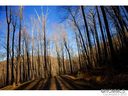 58 Castanea Mountain Drive sold home in Asheville, SC