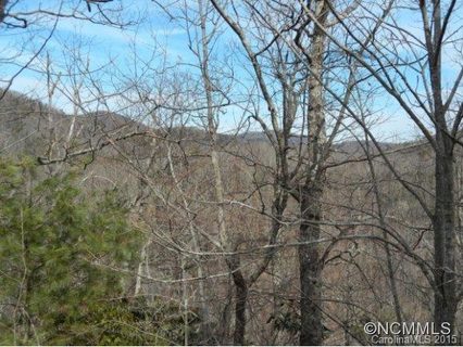 81 Davey Crockett 15 sold lot in Wildflower Ridge, Fairview, NC