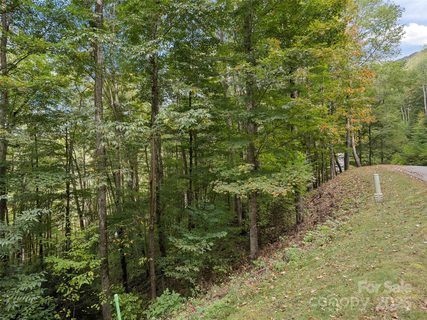 0 Macallan Drive active lot in Highland Forest, Waynesville, NC