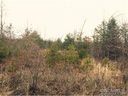 Lot 39 Lake Haven Drive Drive sold home in Lake Lure, SC