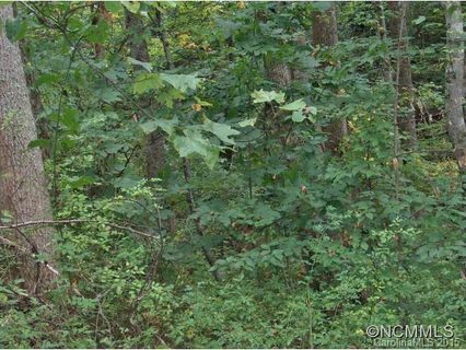 Lot 61 Coyote Hollow Road