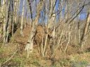 0 Wilderness Drive sold home in Weaverville, SC