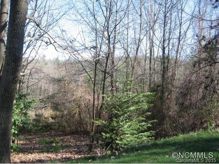 391 Dunroy Drive 17 sold home in Dunroy On Rutledge, Flat Rock, NC