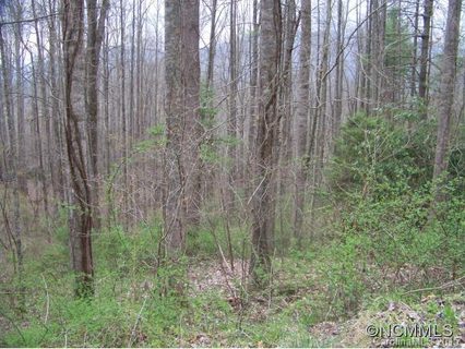 0 Dawn Valley Road sold home in Seay Mountain, Waynesville, NC