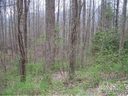 0 Dawn Valley Road sold home in Waynesville, SC