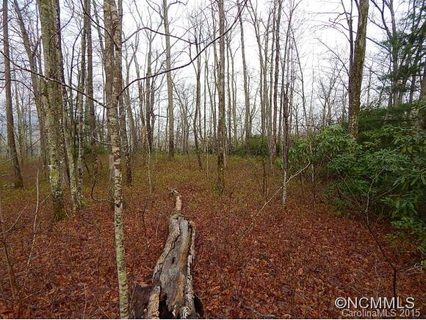 Lo62 Panther Cove