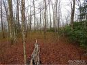 Lo62 Panther Cove sold home in Brevard, SC