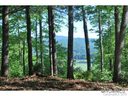 Lot 32 Reserve Road sold home in Pisgah Forest, SC