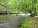 Lot 73 Back River Trail sold home in Marshall, SC