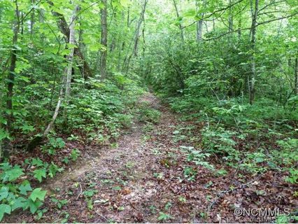 0 Henry Mountain Road sold lot in Henry Mountain, Brevard, NC