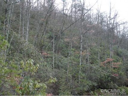 3 8 Acres Off Bent Tree Road Road