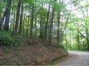 12 13 Rustic Heights sold home in Waynesville, SC