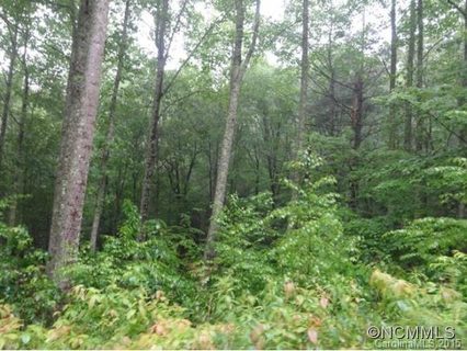 Lot 56 Bear Pen sold lot in River Rock, Cullowhee, NC