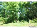 38 Poplar Crest Drive sold home in Pisgah Forest, SC