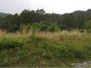 231 Bee Ridge Road Lot 1 sold home in Asheville, SC