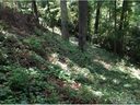 99999 Parker Rd sold home in Asheville, SC