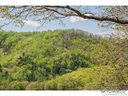 00 Mcintyre Drive 15.12A sold home in Asheville, SC