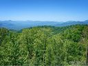 Lot 19 Peregrine Lane sold home in Asheville, SC