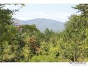 9999 Pisgah Preserve Drive Drive sold home in Nebo, SC