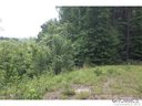 1642 Pisgah Preserve Dr sold home in Nebo, SC