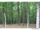 1036 Deep Forest Ln sold home in Nebo, SC