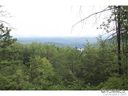 9453 Shortoff View Ter sold home in Nebo, SC