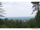 9421 Shortoff View Ter sold home in Nebo, SC