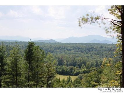 1749 Pisgah Preserve Dr