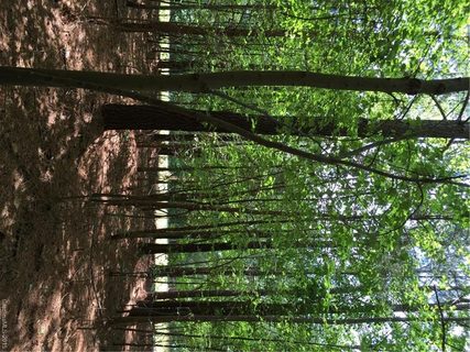 000 Morrison Farm Road sold land listing in Twinn Coves on Morrison, Troutman, NC
