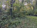 99999 Taft Avenue sold home in Asheville, SC