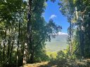 768 Boar Ridge Road sold home in Sylva, SC