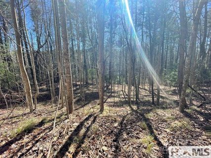 1 Bear Log Road active lot in Found Forest, Cashiers, NC