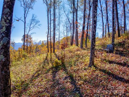 7 Laurel Ledge Way active home in Couch Mountain, Fletcher, NC