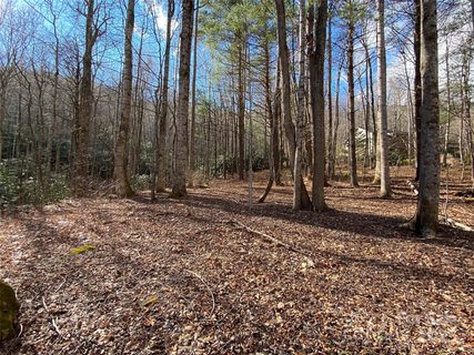12 Laurel Branch Drive active home in Laurel Ridge, Black Mountain, NC
