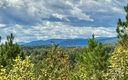 1 17 Acres 4805 Low Valley Way sold home in Lenoir, SC