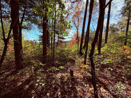 312 Hollybrook Drive