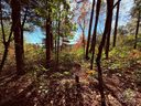 312 Hollybrook Drive sold home in Flat Rock, SC
