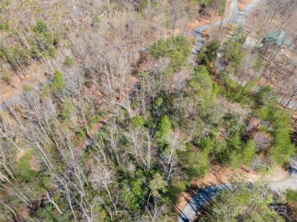 126 Kellerman Point active home in Firefly Cove, Lake Lure, NC