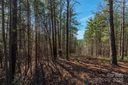 1683 Pisgah Preserve Drive sold home in Nebo, SC