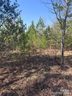 0 Cross Creek Drive sold home in Rutherfordton, SC