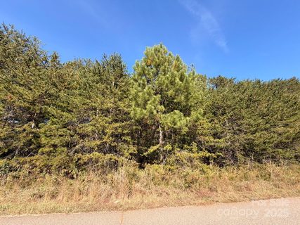 1953 Milton Street sold home in Avian Woods, Newton, NC